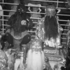 chinese-deity-with-black-face-photo-0