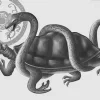 chinese-mythology-and-the-turtle-deity-image-0
