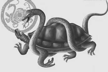 chinese-mythology-and-the-turtle-deity-image-0
