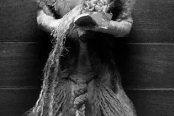 chinese-deity-with-rabbit-image-0