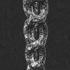 the-cult-of-the-half-snake-body-deity-in-china-photo-0