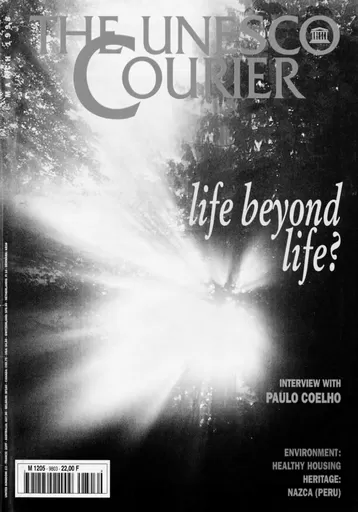 chinese-deity-of-earth-hutu-image-0