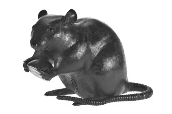 the-chinese-rat-deity-photo-0