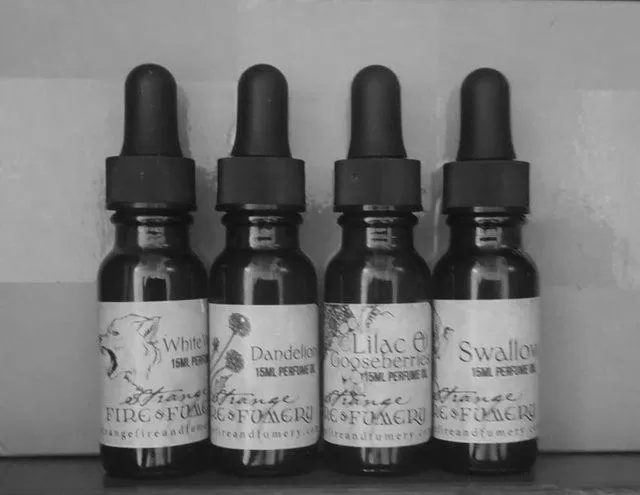 what-does-a-strange-fire-and-fumery-smell-like-image-0